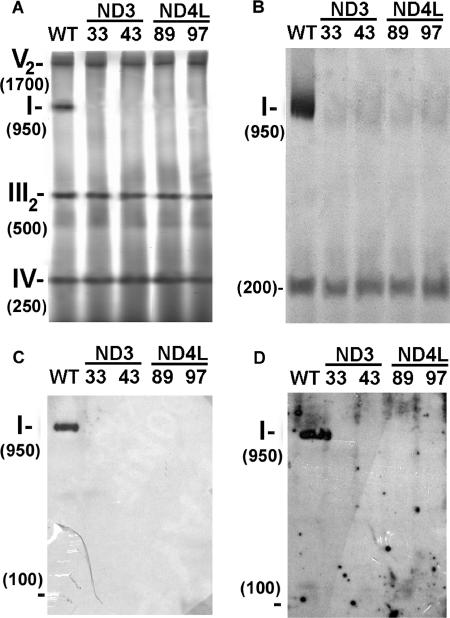 FIG. 5.