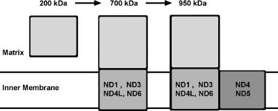 FIG. 6.