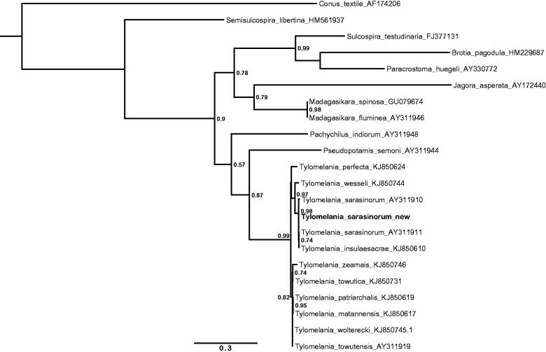 Figure 1.