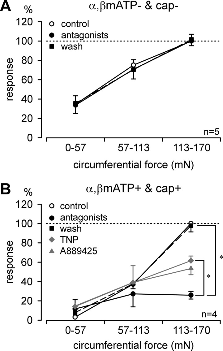 Fig. 8.