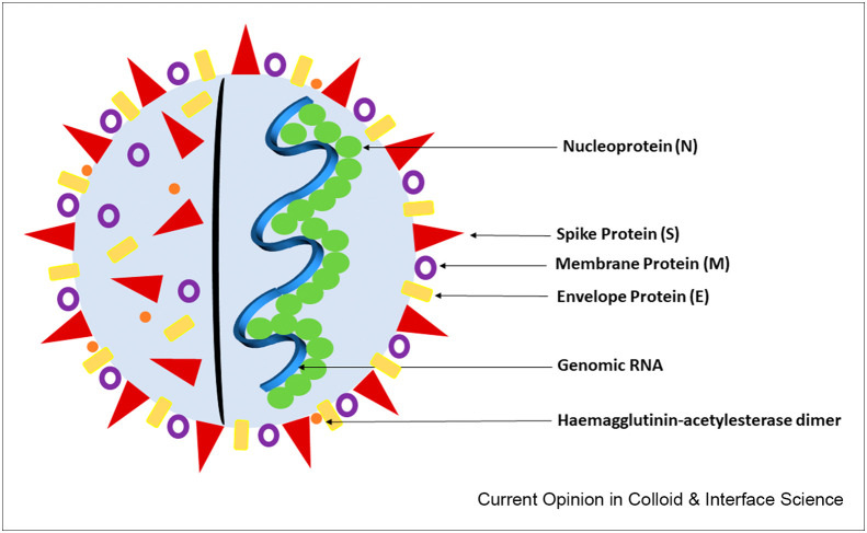 Figure 2