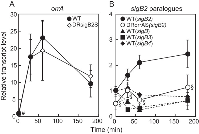 FIG 4