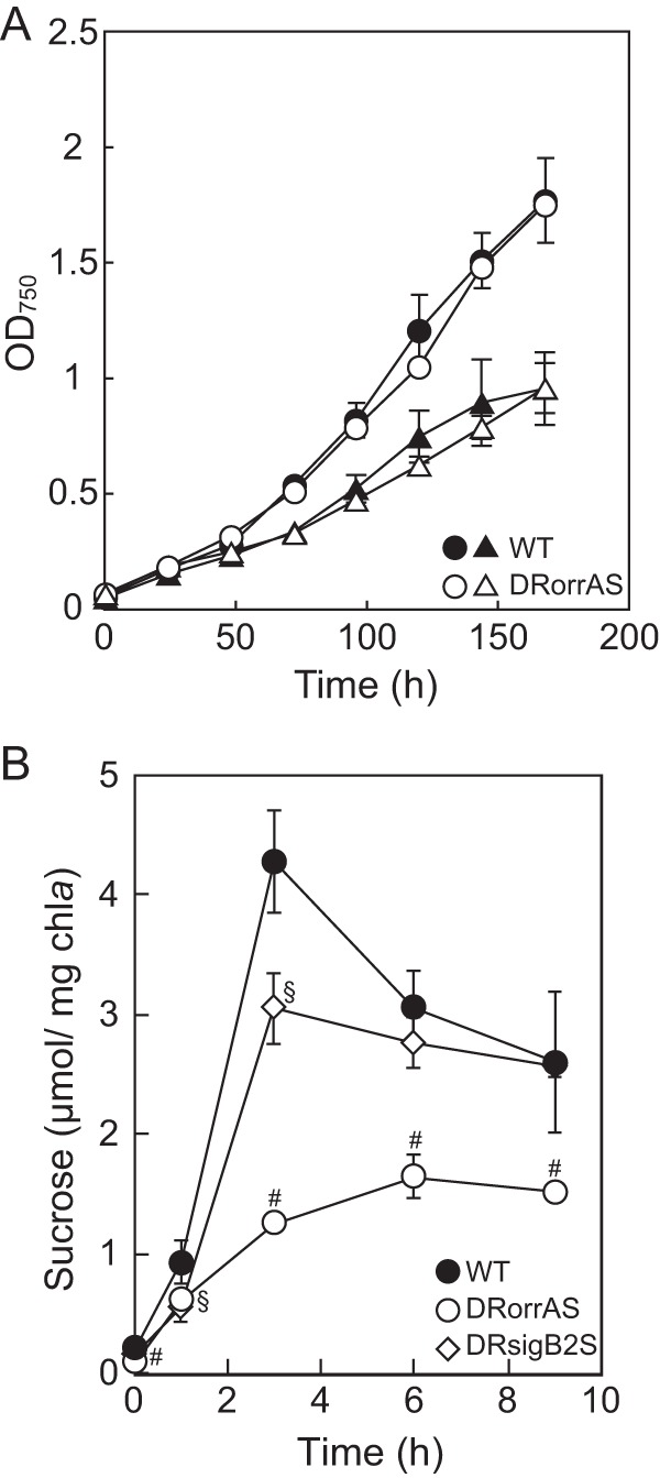 FIG 2