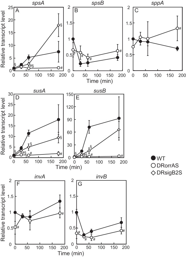 FIG 3