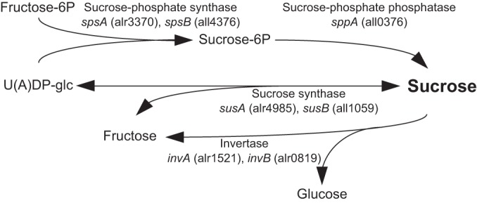 FIG 1