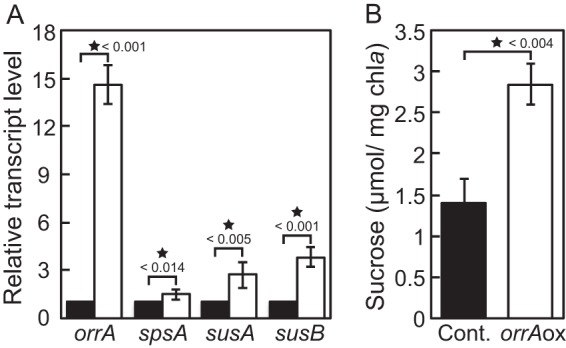 FIG 6