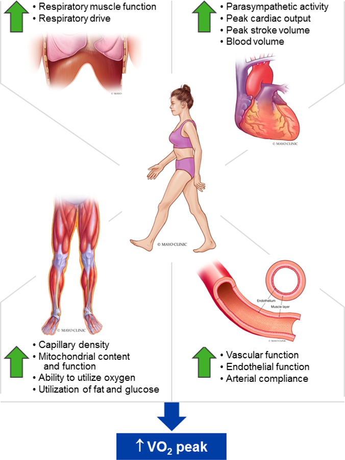 Figure 2: