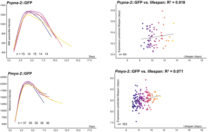 Figure 2—figure supplement 1.