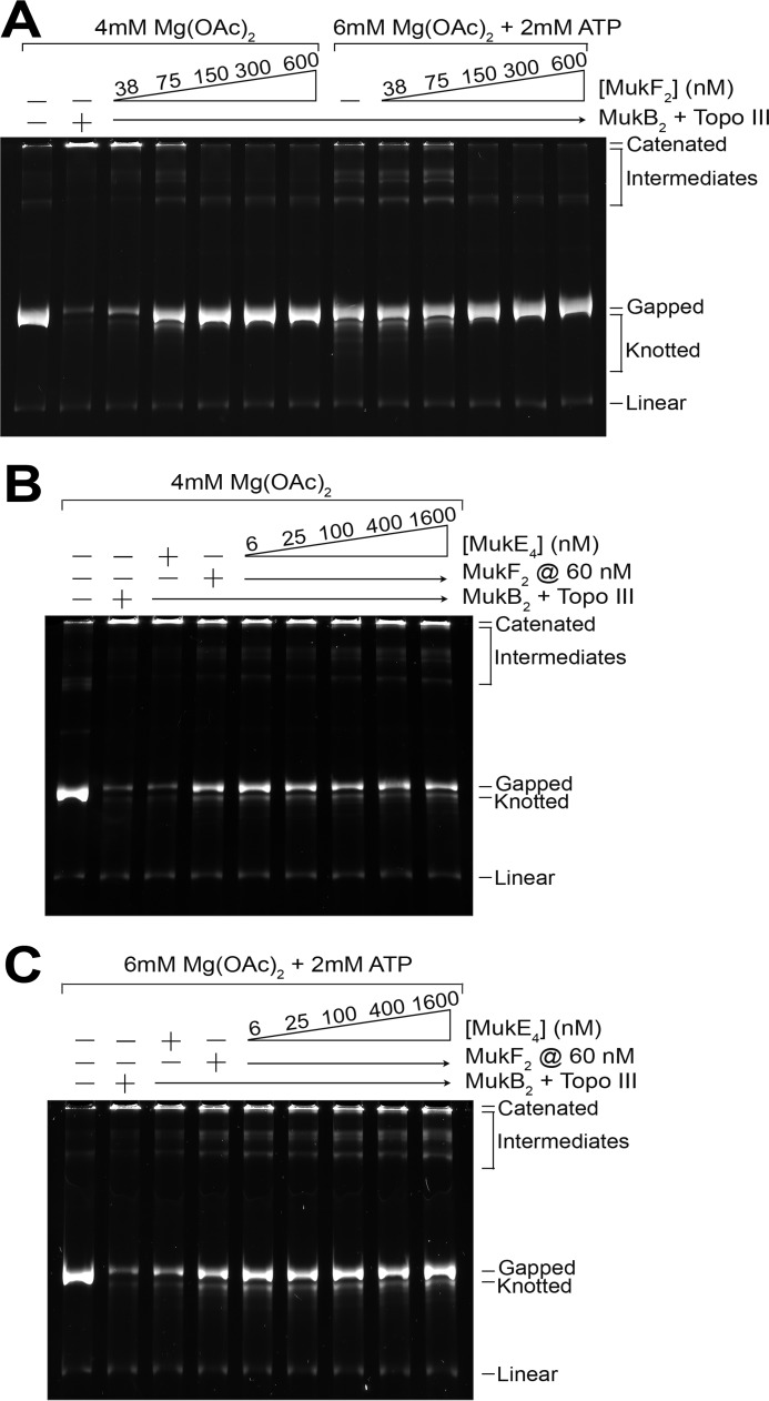 FIGURE 7.