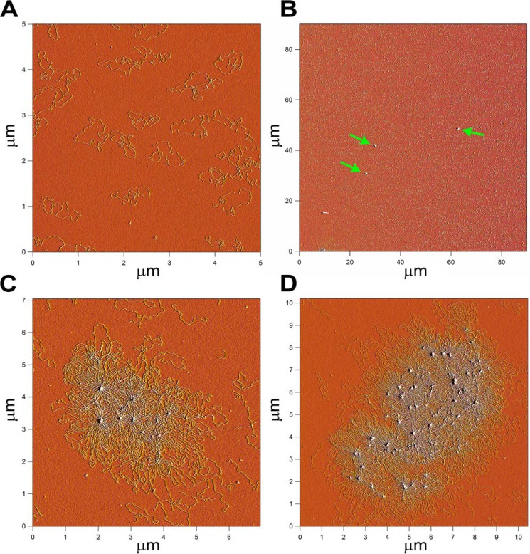 FIGURE 2.