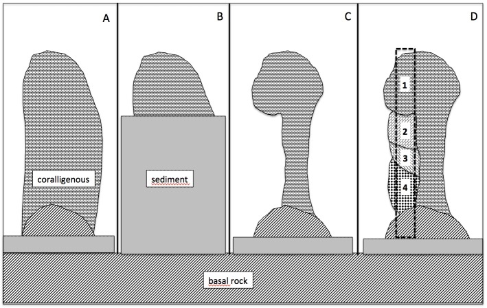 Fig 9