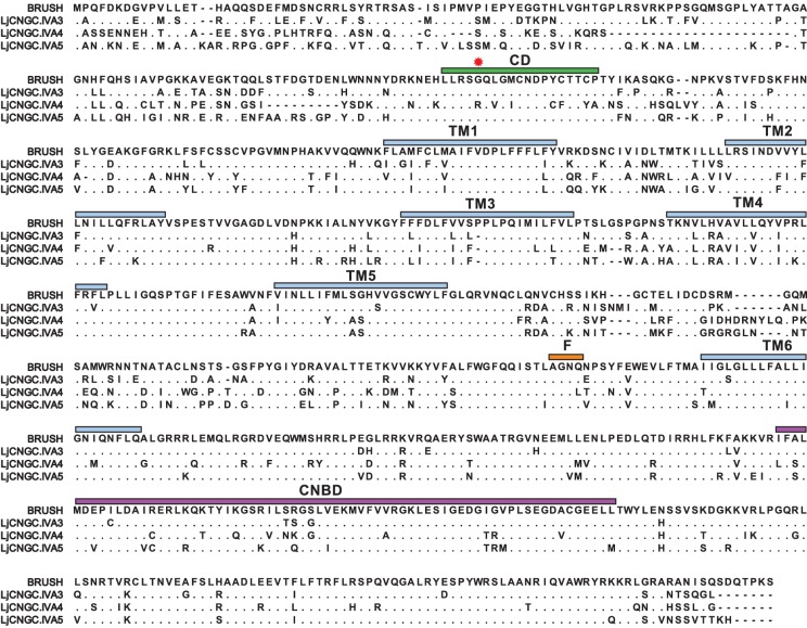 Figure 1—figure supplement 3.