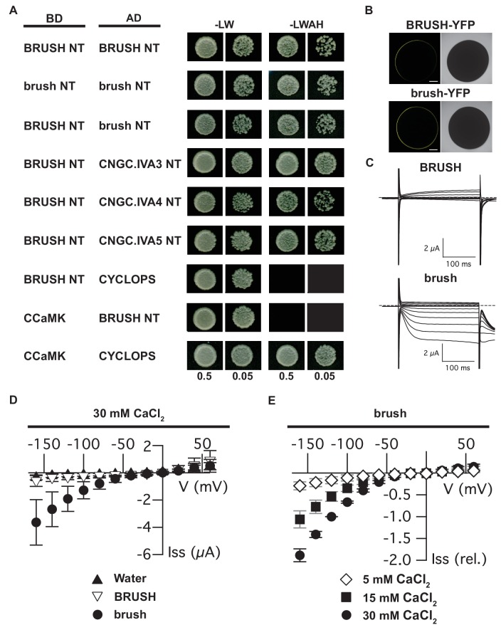 Figure 3.