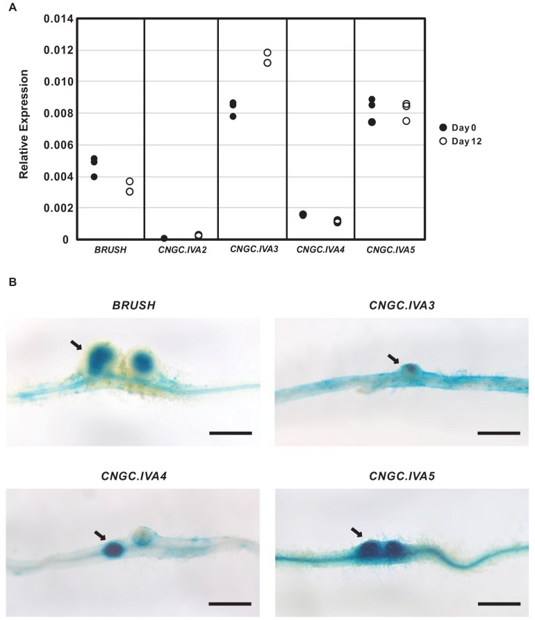 Figure 2—figure supplement 5.