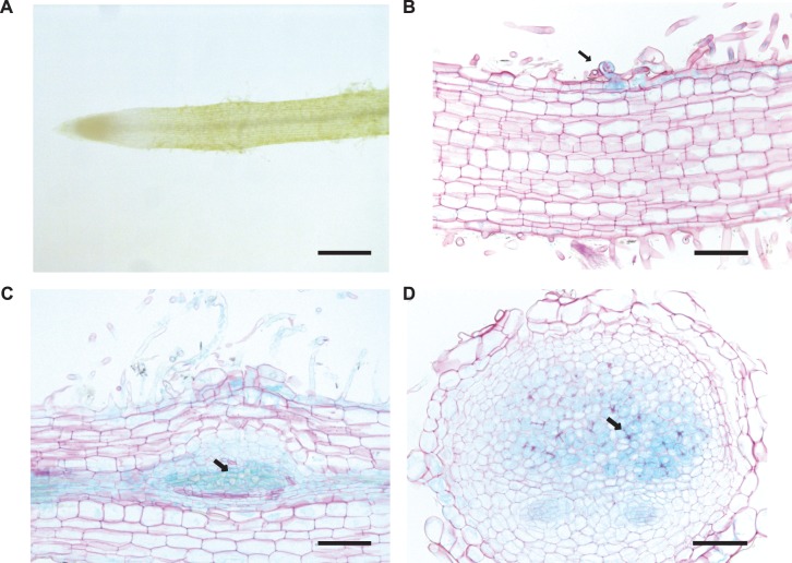 Figure 2—figure supplement 6.