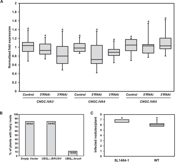 Figure 2—figure supplement 3.