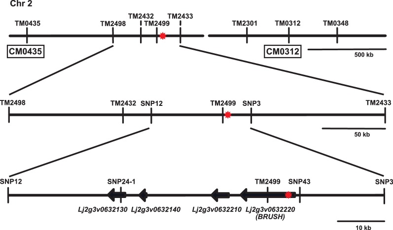 Figure 1—figure supplement 1.