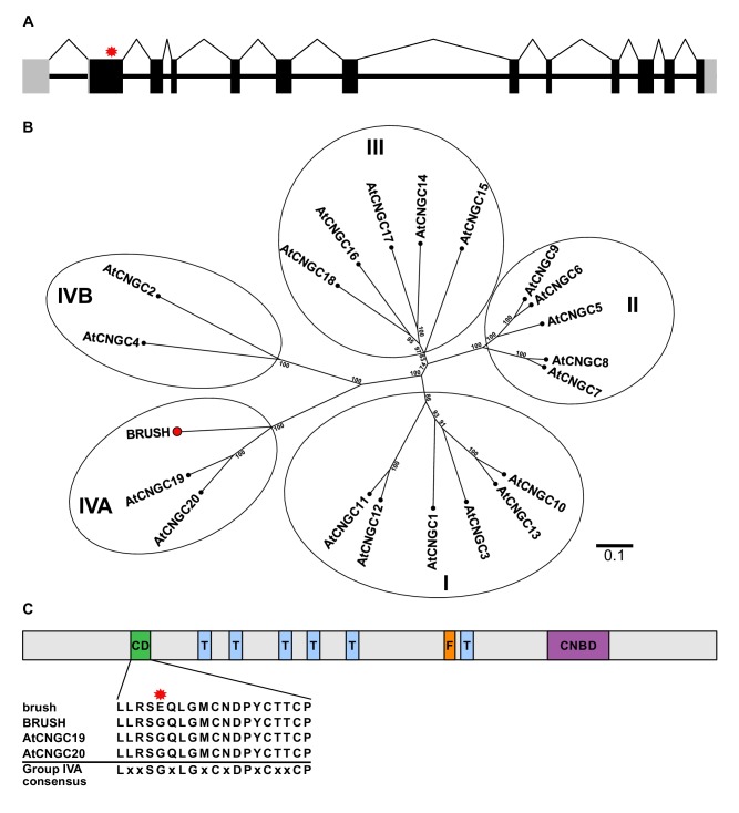 Figure 1.