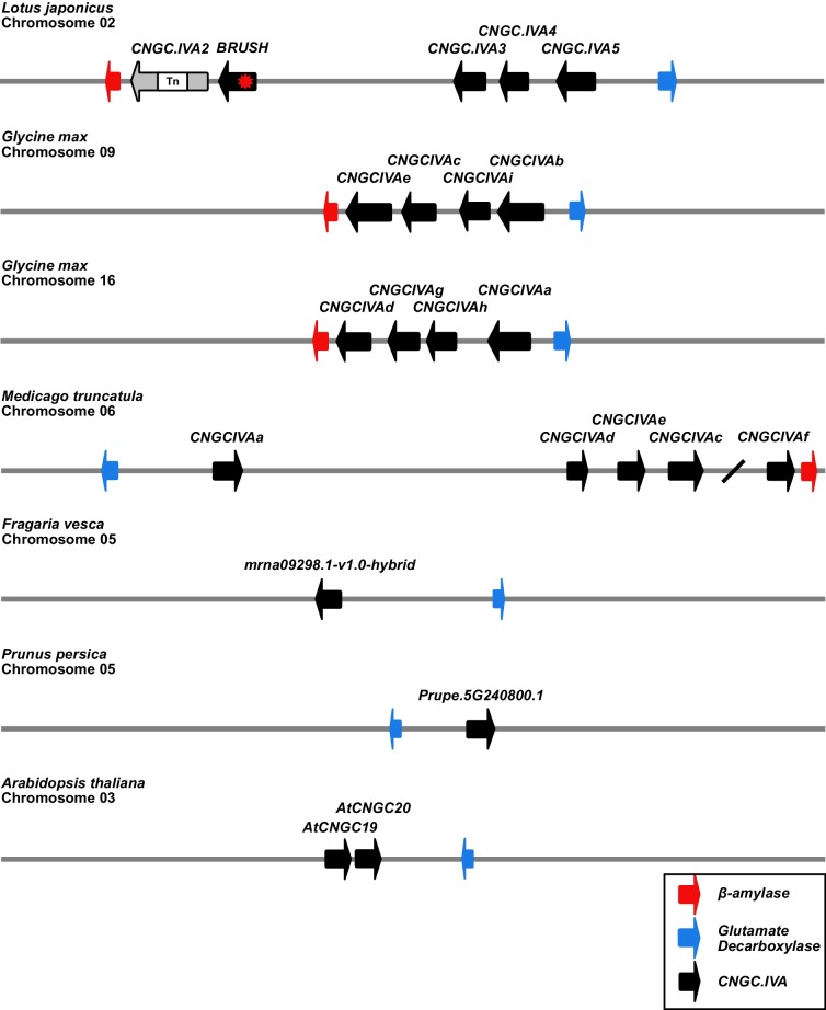 Figure 1—figure supplement 2.