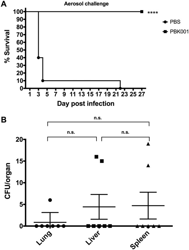 FIG 1