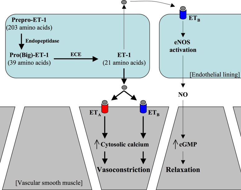 Fig. 1