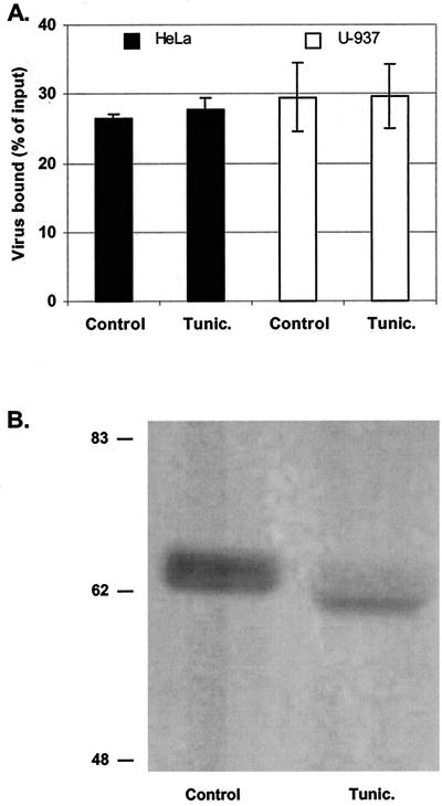 FIG. 5.