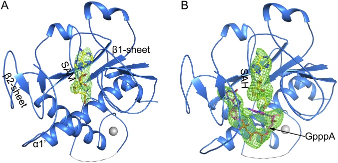 Fig. S6.