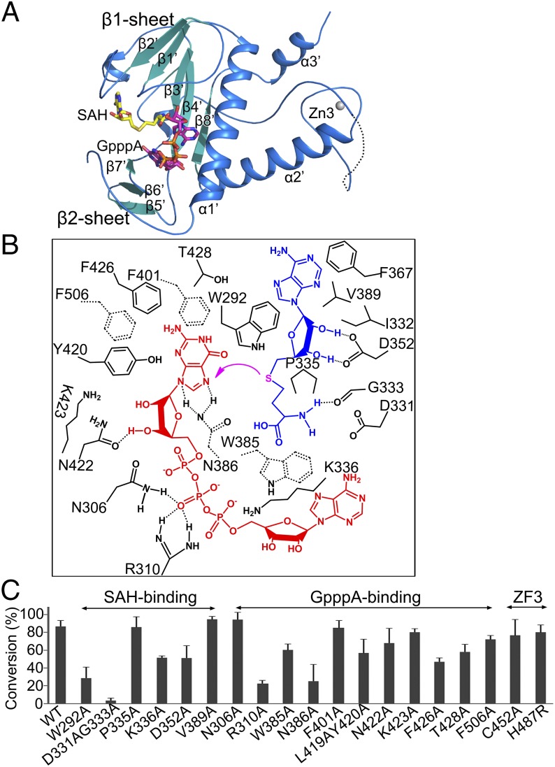 Fig. 4.