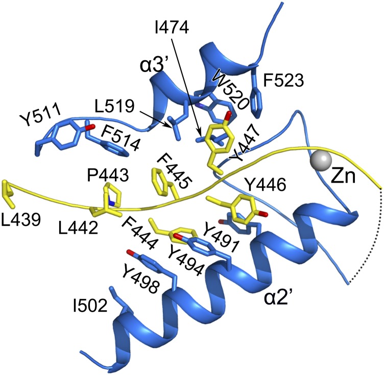 Fig. S5.