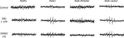 Fig. 2