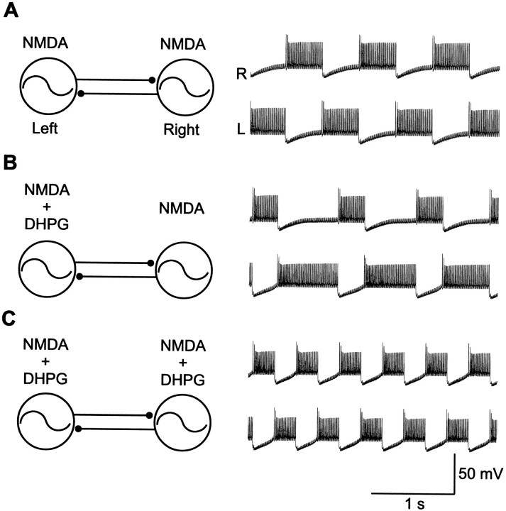 Fig. 9.