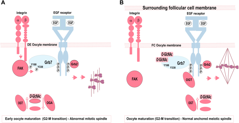 Figure 10