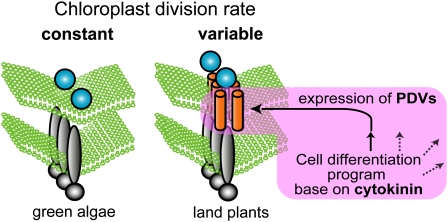 Figure 7.