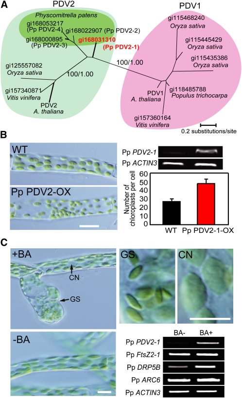 Figure 6.