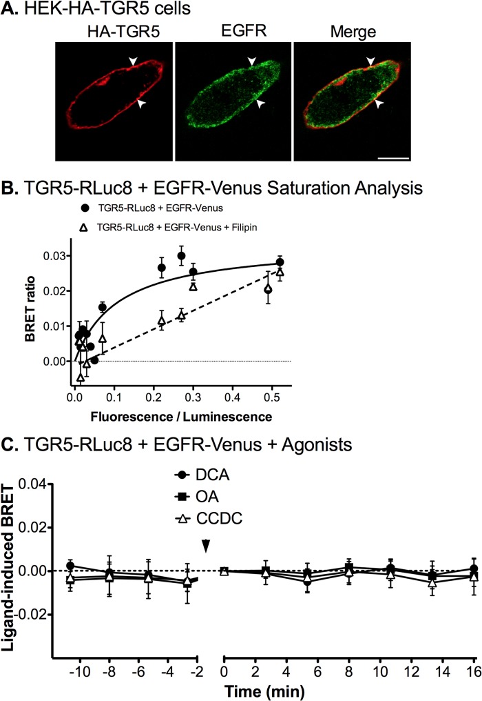 FIGURE 11.