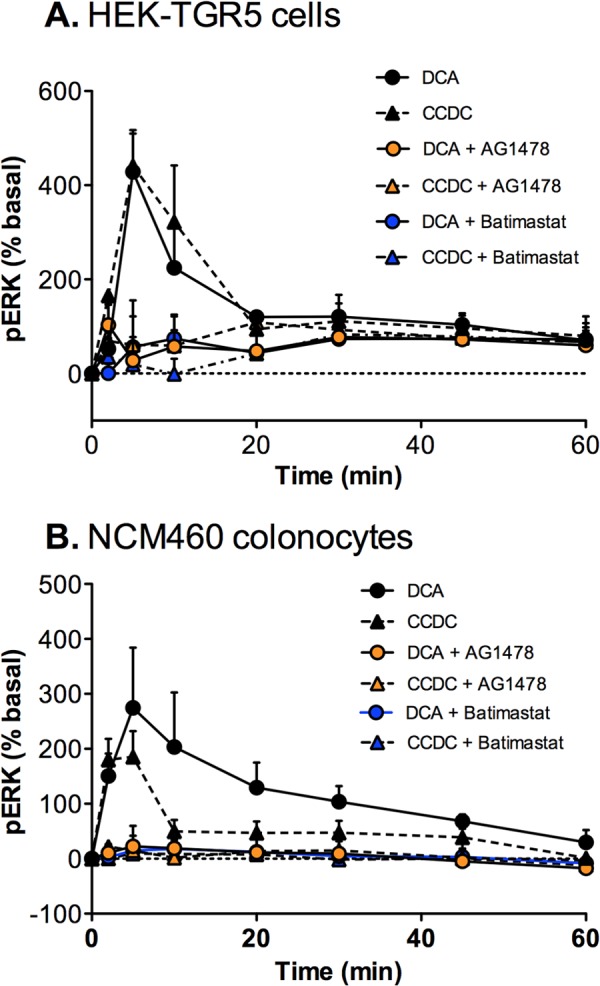 FIGURE 10.