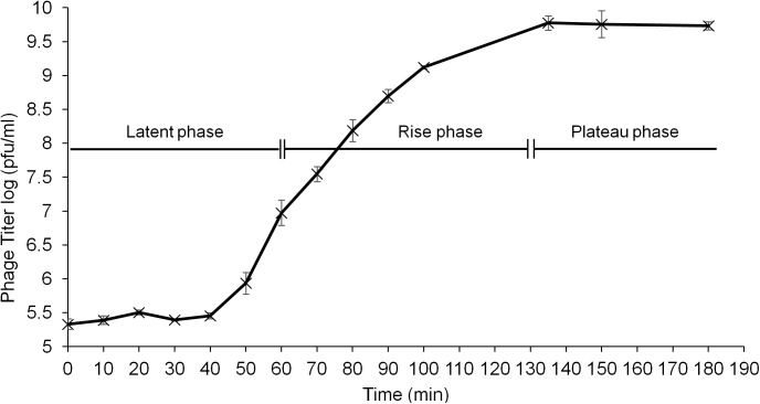 Fig 2