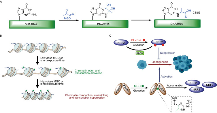 Figure 3