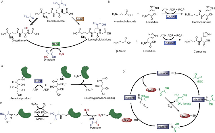 Figure 4