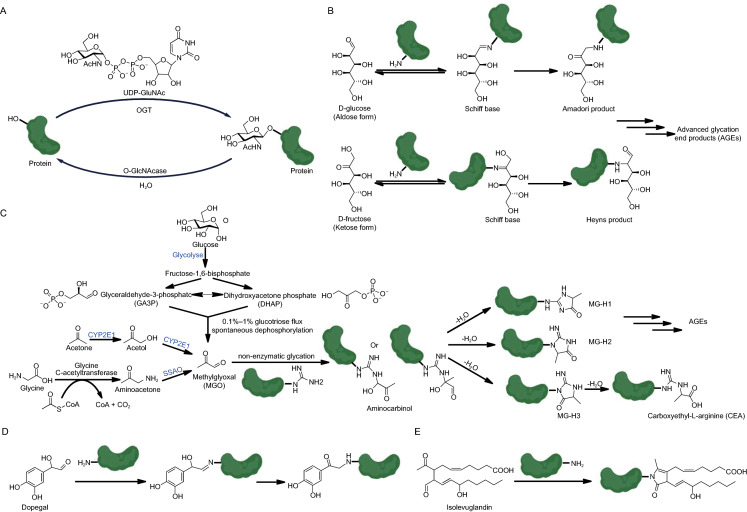 Figure 2