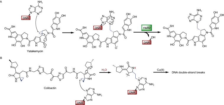 Figure 6