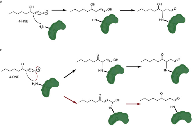 Figure 7