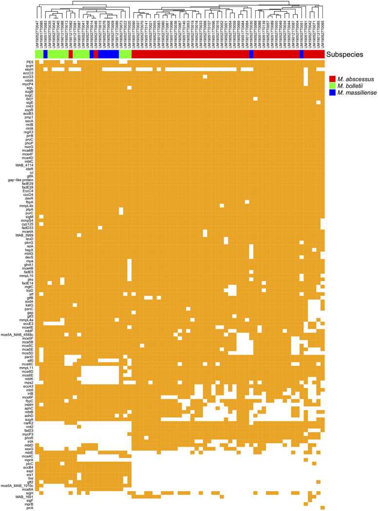 FIG 1