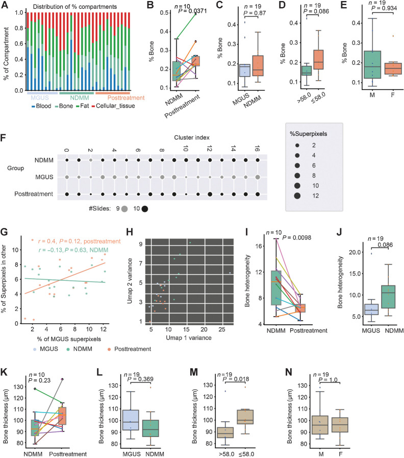 Figure 4. Studying bone physiology using MoSaicNet. A, Proportion of different compartments of BM trephine digital images. B–E, One stacked bar represents a sample. Box plots showing the difference in %bone between samples from NDMM and posttreatment (B), MGUS and NDMM (C), different age groups (median age = 58.0 years; D), and gender groups (E). F, Scatter plot showing the number of bone superpixels in 17 clusters from MGUS, NDMM, and posttreatment samples. The size of the dots represents the percentage of superpixels. The color represents the number of slides in each cluster. G, Correlation of percentage of superpixels in each cluster between different patient groups. A point represents a cluster. H, Scatter plot of slide-level heterogeneity of bone features measured by features variance (Supplementary Materials and Methods). A point represents a patient/slide. I and J, Box plots showing differences in bone density heterogeneity between NDMM and posttreatment (I), and between MGUS and NDMM (J). K–N, Box plots showing the difference in bone thickness between samples from NDMM and posttreatment (K), MGUS and NDMM (L), and different age groups (median age = 58.0 years; M) and gender (N).