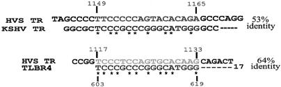 FIG. 8.