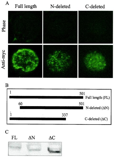 FIG. 6.