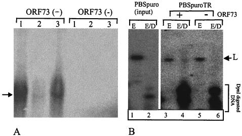 FIG. 10.