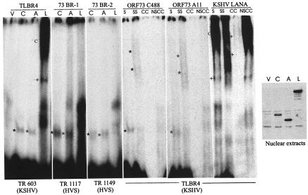 FIG. 9.