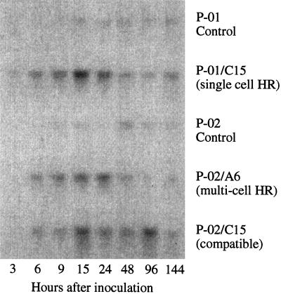 Figure 6