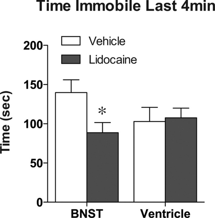 Figure 11.